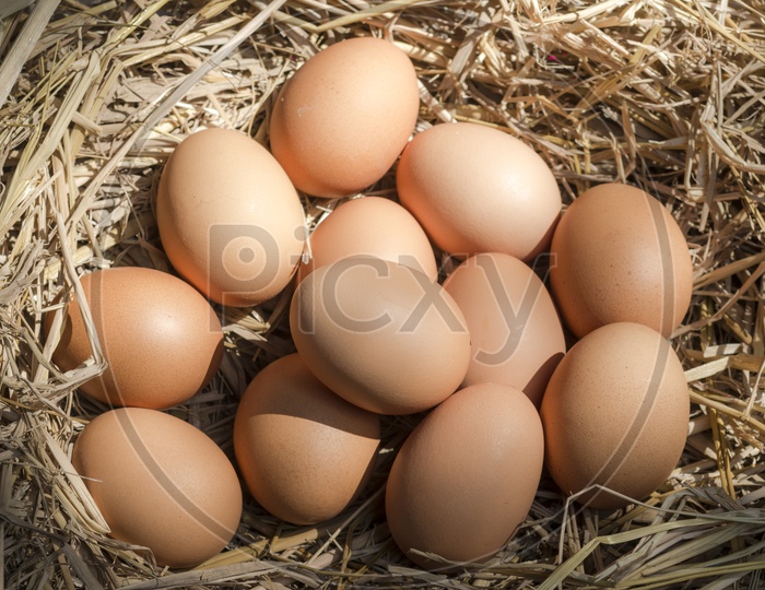 chicken eggs or organic Eggs In a tray