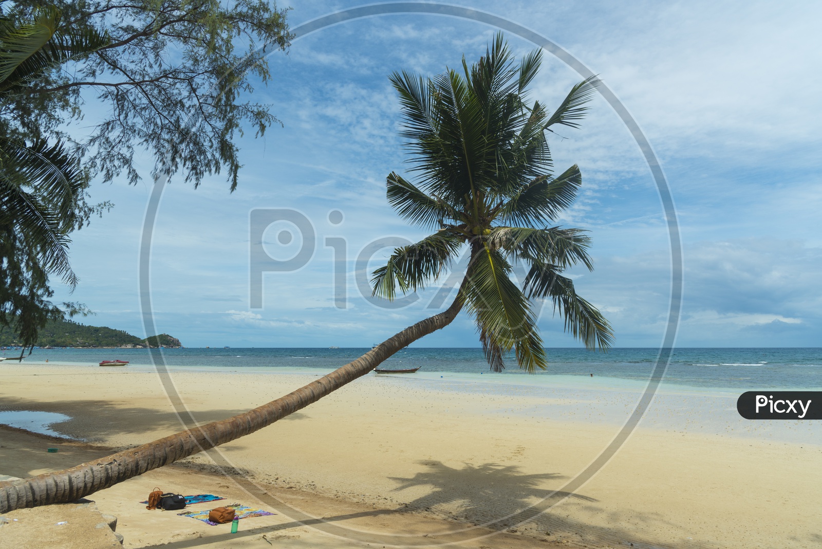 Beach With Blue Sky and Coconut Tree And Boat
