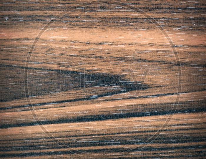 Texture of wooden Plank Closeup Forming a Background Or Abstract