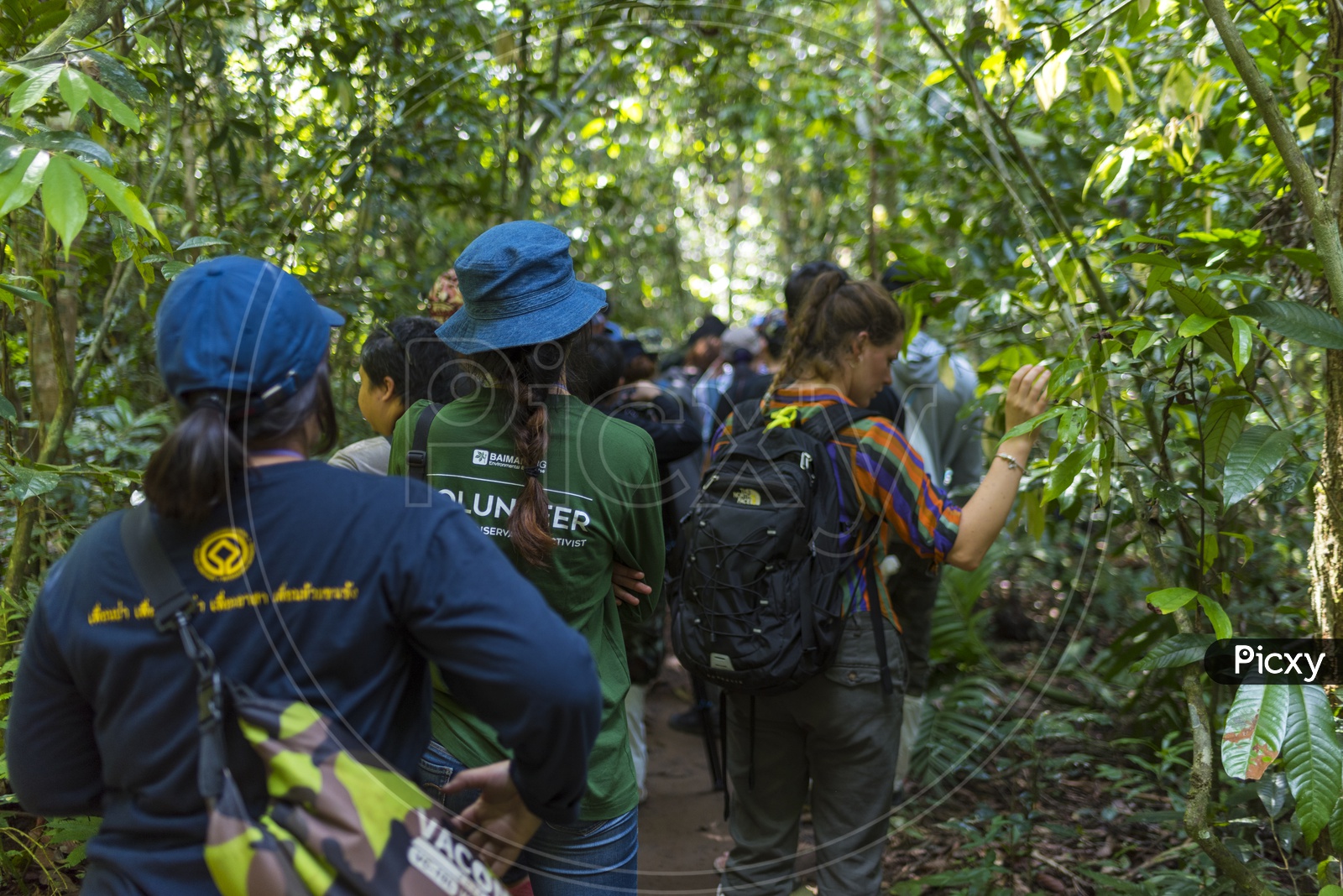 Wildlife Conservation Education Drive programs In Khao Yai National Park