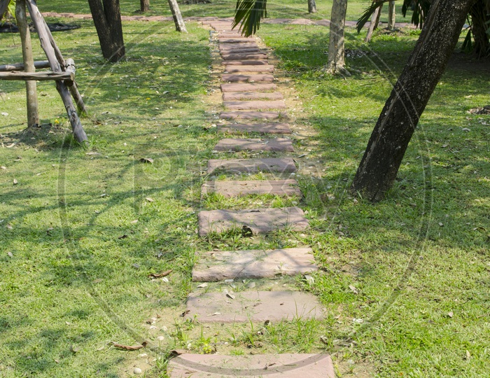 wet stone pathway in a Park