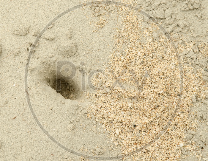 Texture Of a Wet Beach Sand
