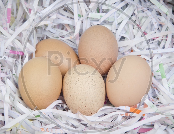 Bunch of Eggs Closeup