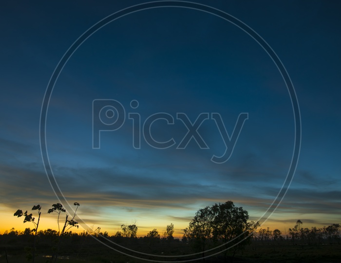 Sunset Sky over Tropical Forest With Blue Hour Sky