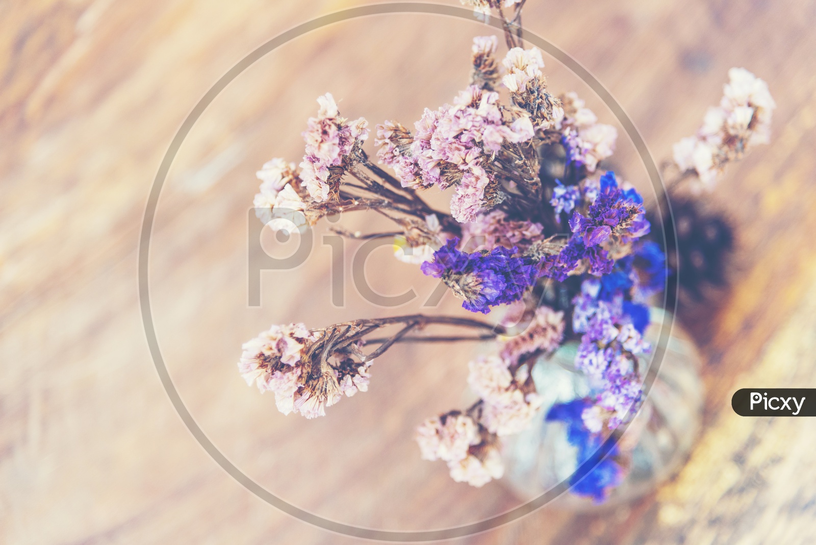 Summer colorful flowers on vintage wooden background