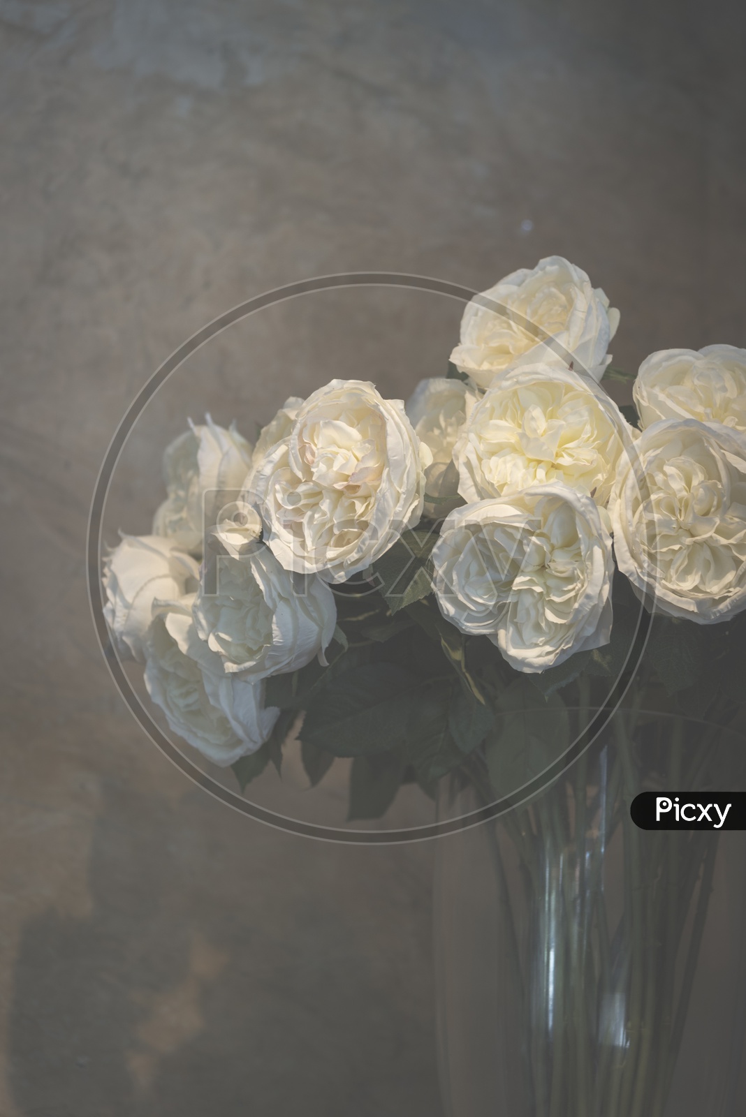 White Rose Flowers In a Vase Over Beige Wall Background