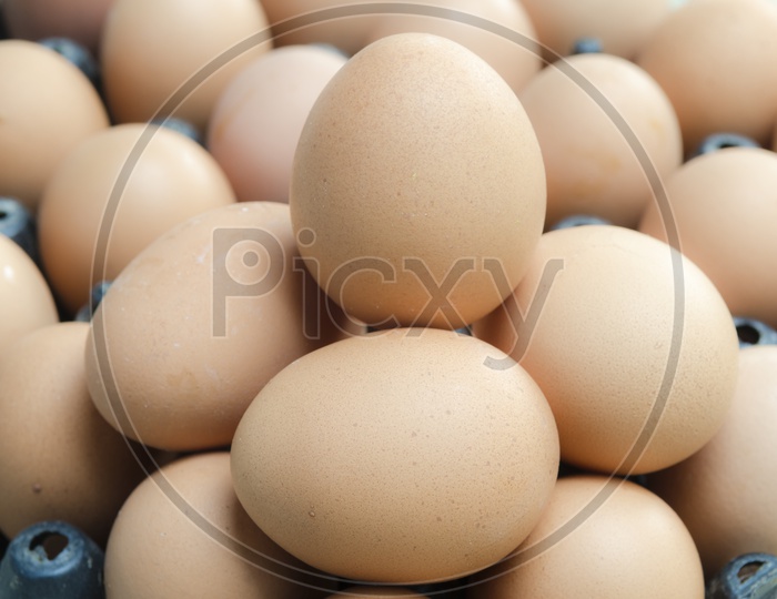 chicken eggs in a Tray