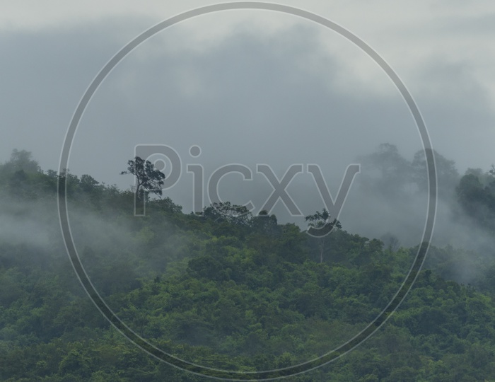 tropical mountain With Fog Clouds