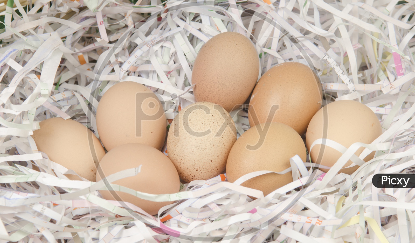 Closeup Of Eggs