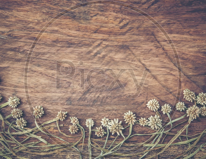 Dry grass and flowers frame on wood background