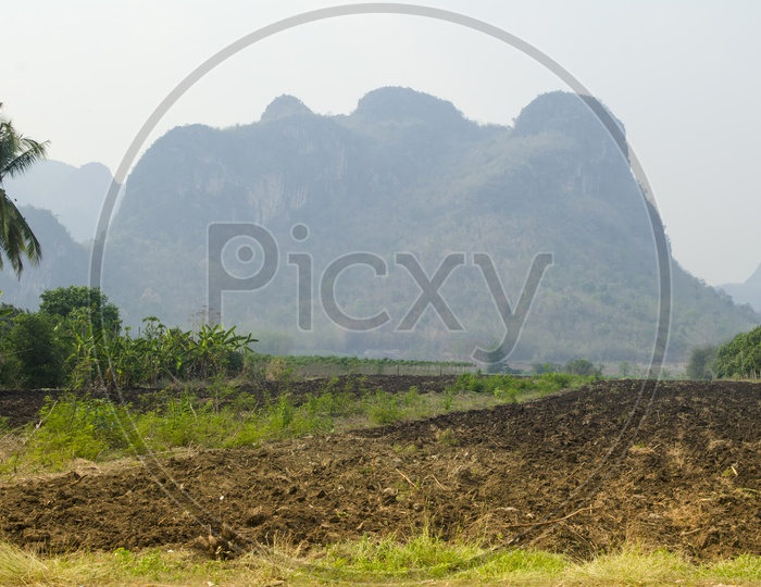 Agriculture Fields in Thailand with Mountains in Background