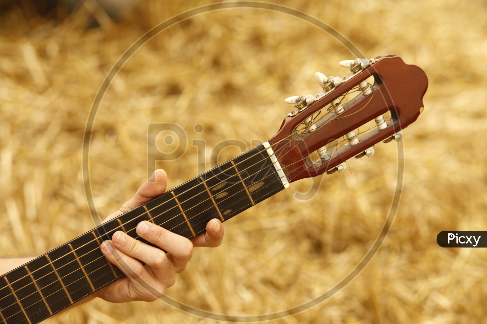 Guitar in the hands of a man