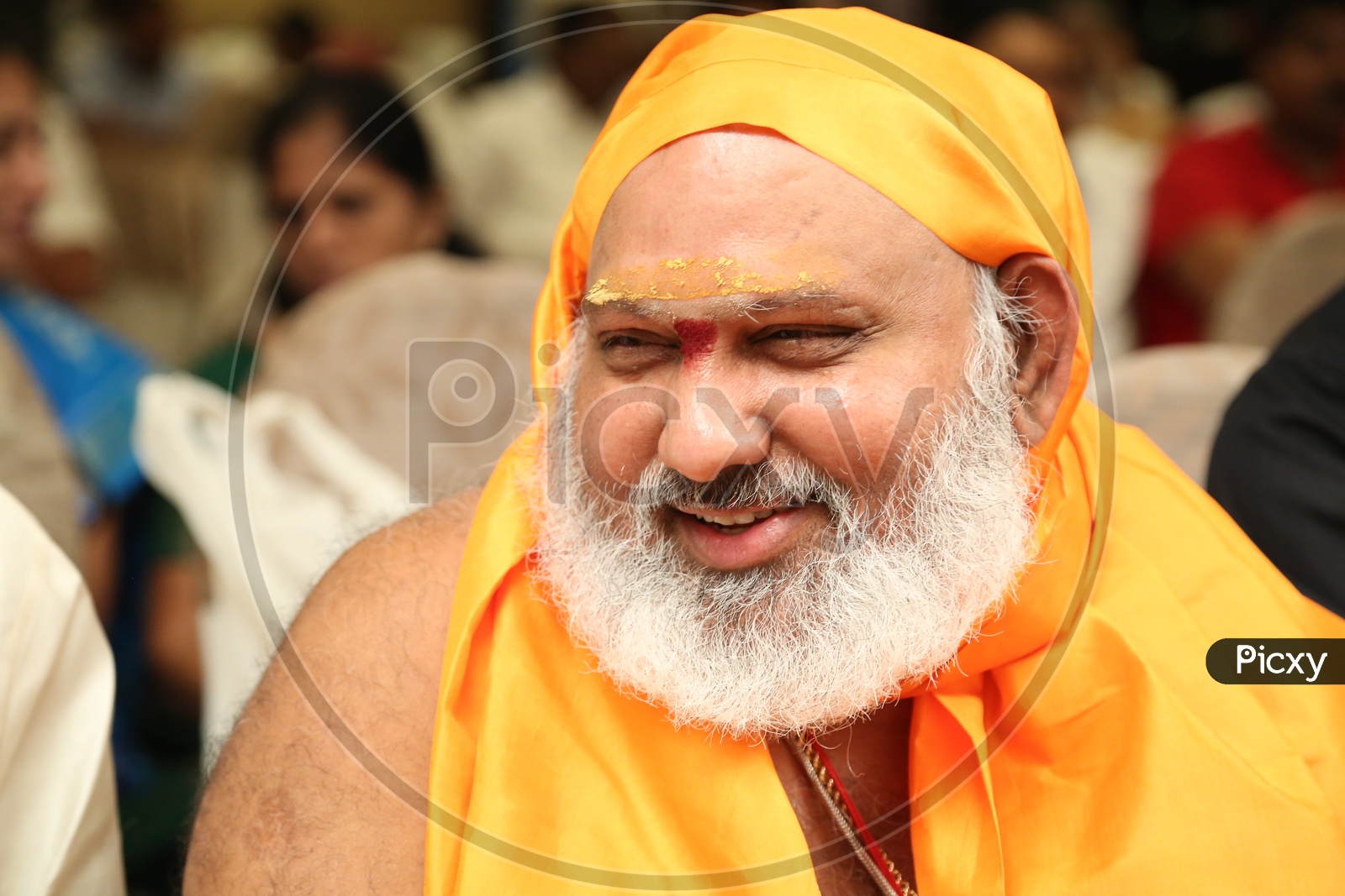 Indian Saint with White Beard