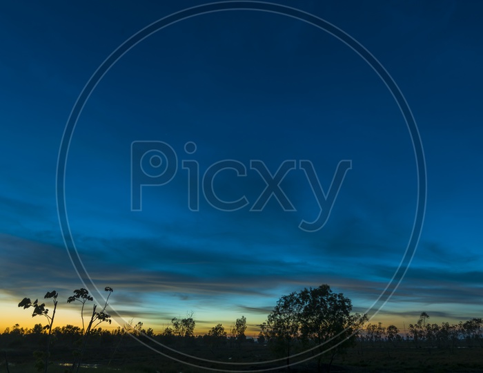Sunset Over Tropical Forest With Blue Hour Sky Background