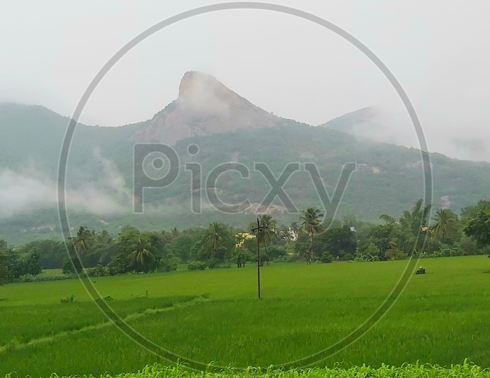 Foggy mountain and agricultural fields