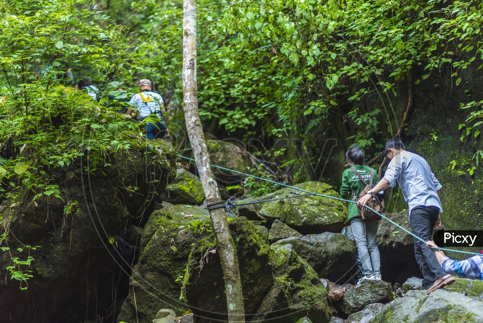 Adventure Travelers Trekking in Nature At Khao Yai National Park In Thailand