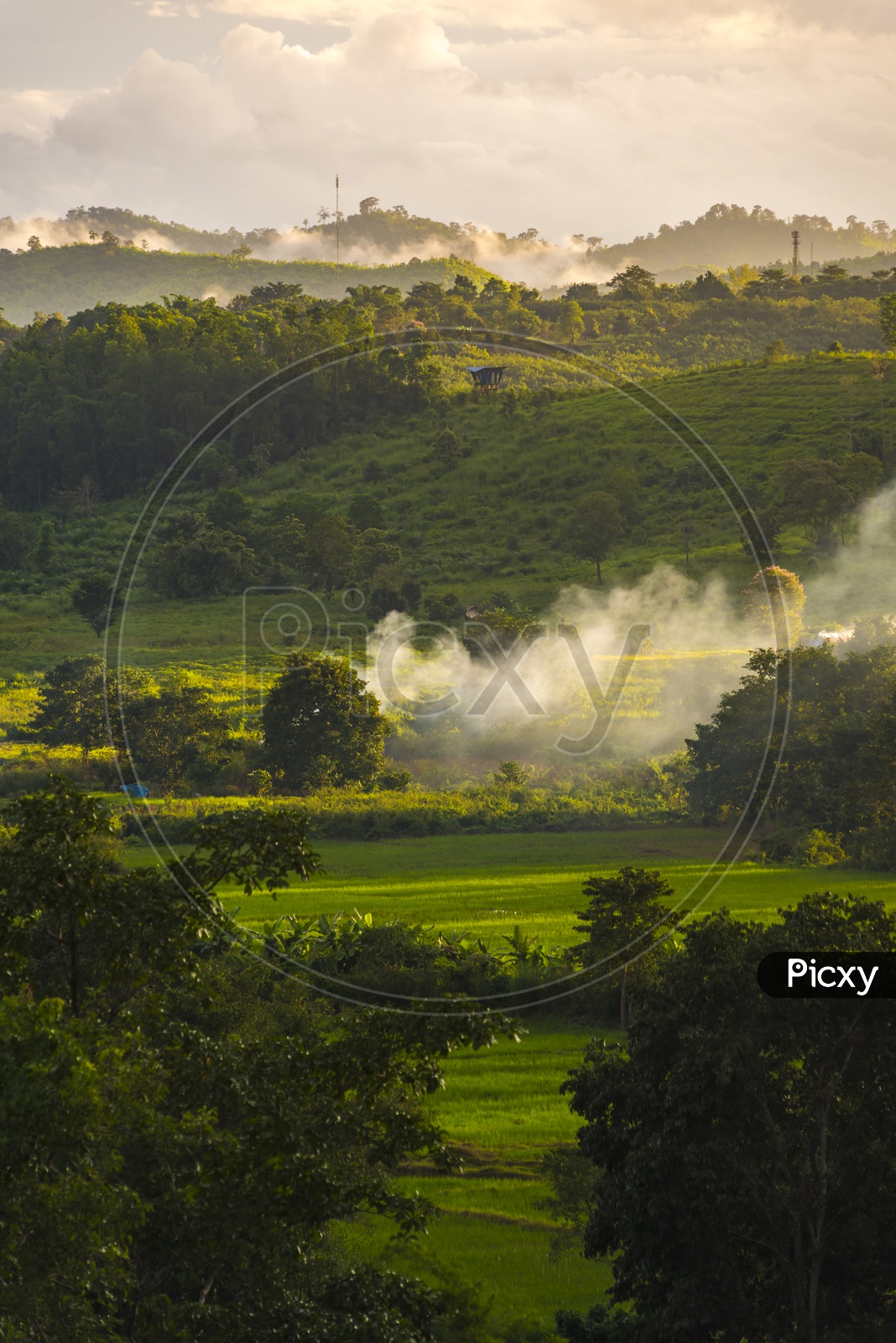 Smoke In Agricultural Fields With Green Fields
