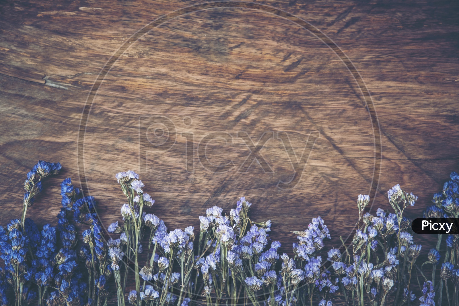 Abstract texture background of vintage flower with wooden background