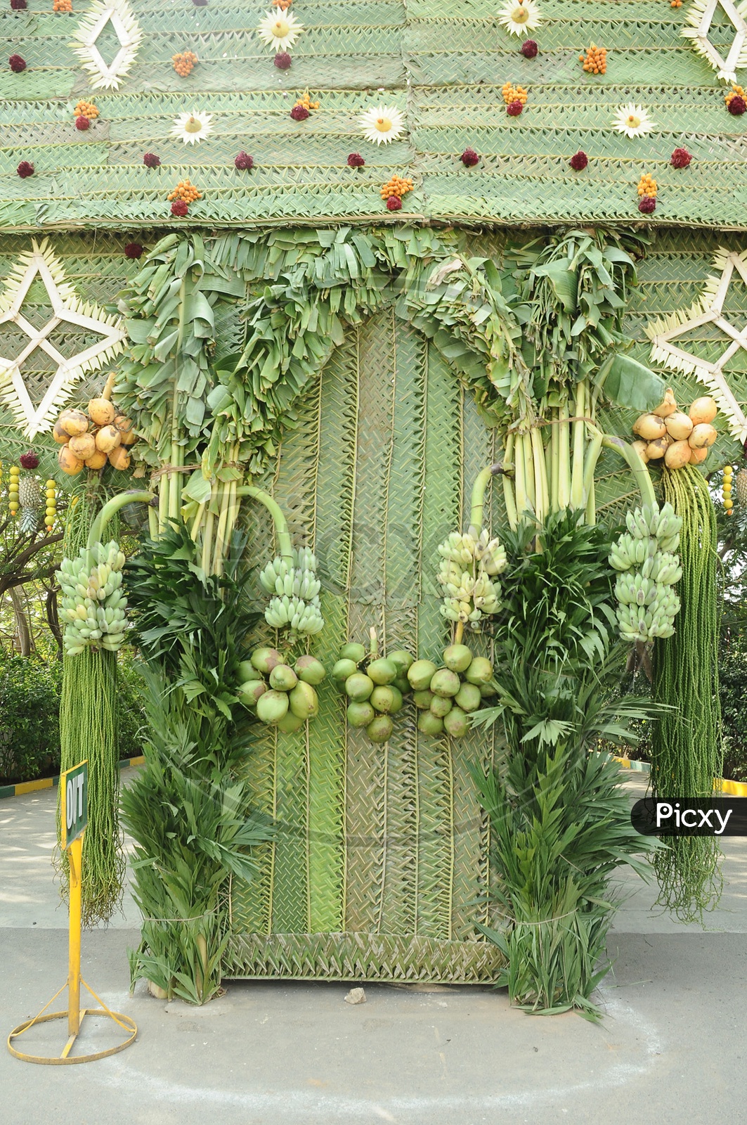 Coconuts and Bananas used for wedding decoration