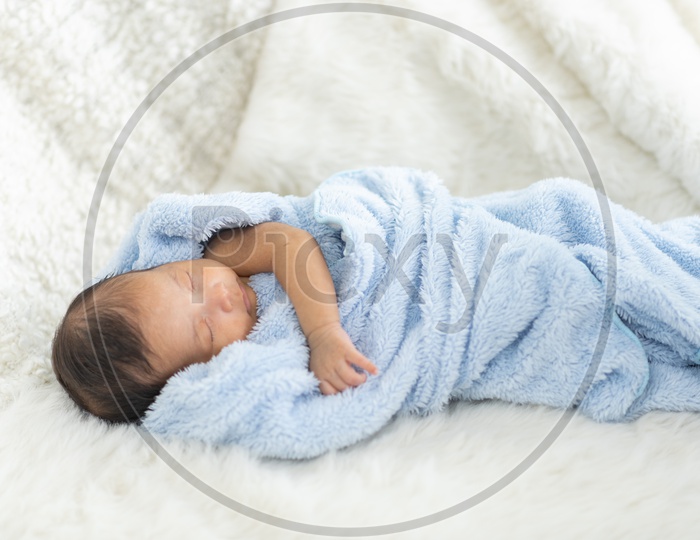 Newborn baby curled up in a blanket