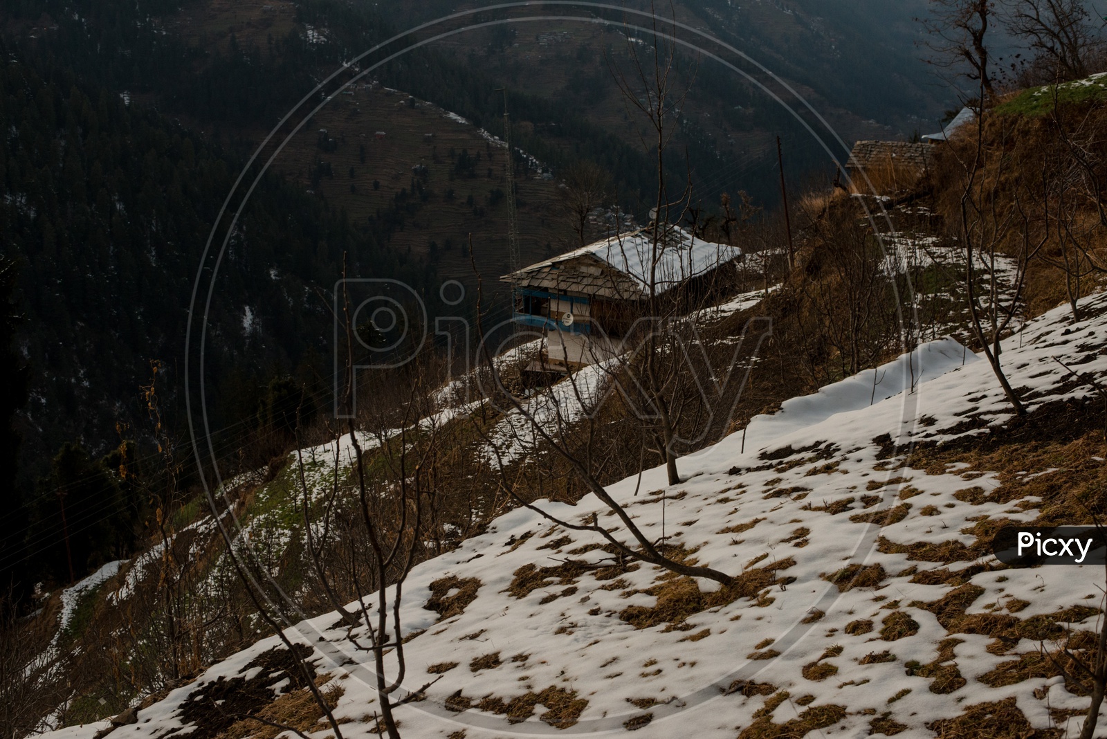 A snowy  landscape during winter in Manali