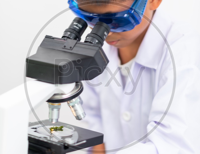 Asian Child Scientist Looking on Microscope in Laboratory
