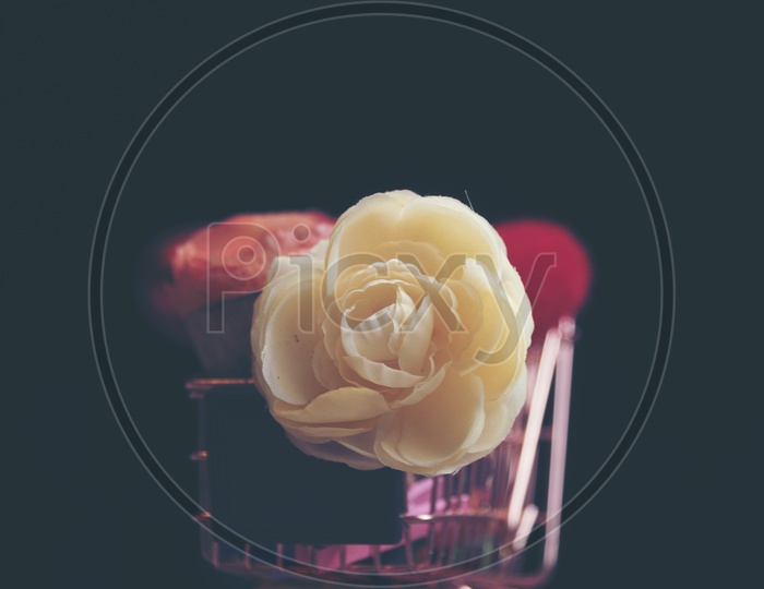 Rose flowers in a trolley toy with black background