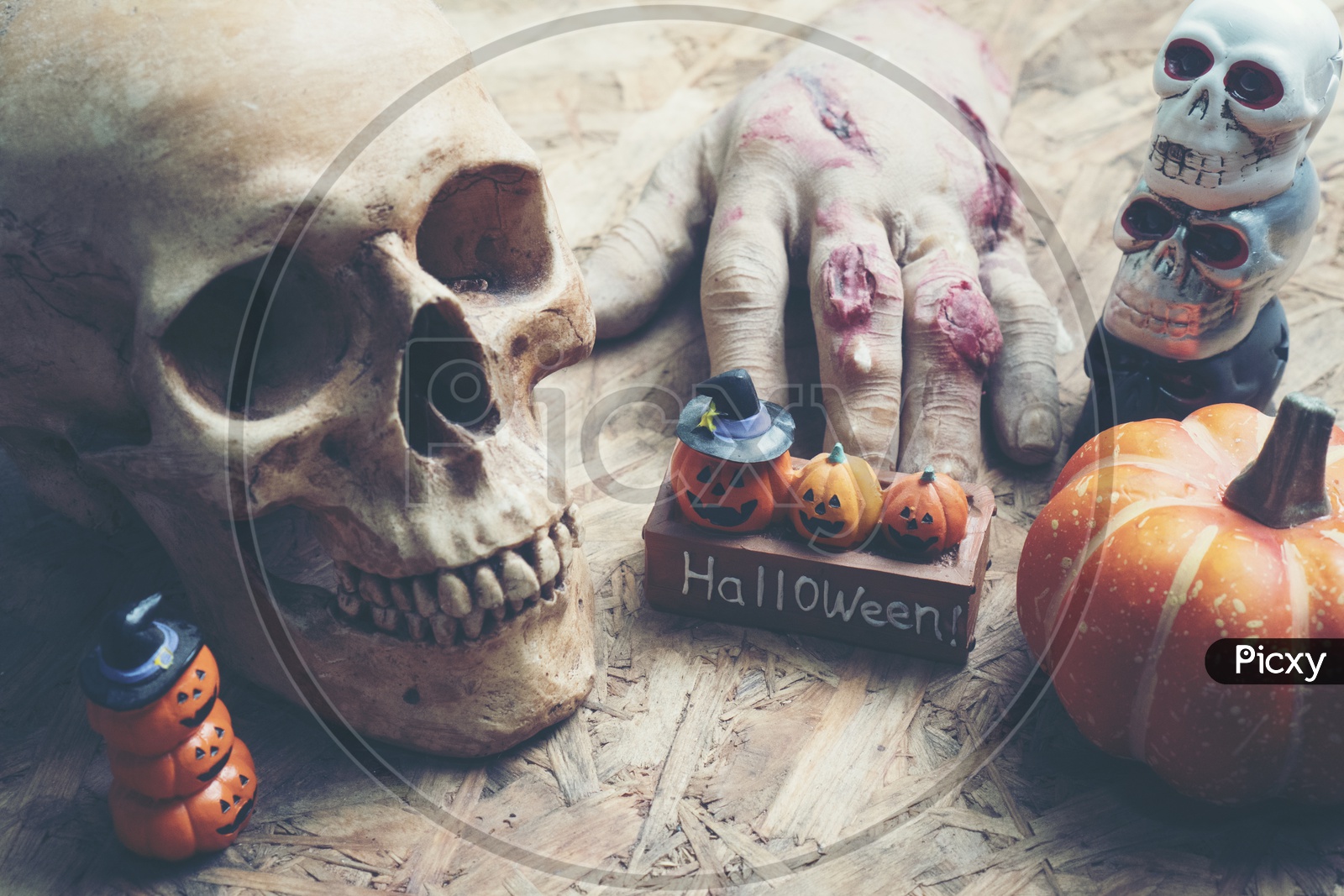 Artistic Background For Halloween  With Skull And  Pumpkin  With Vintage  Filter
