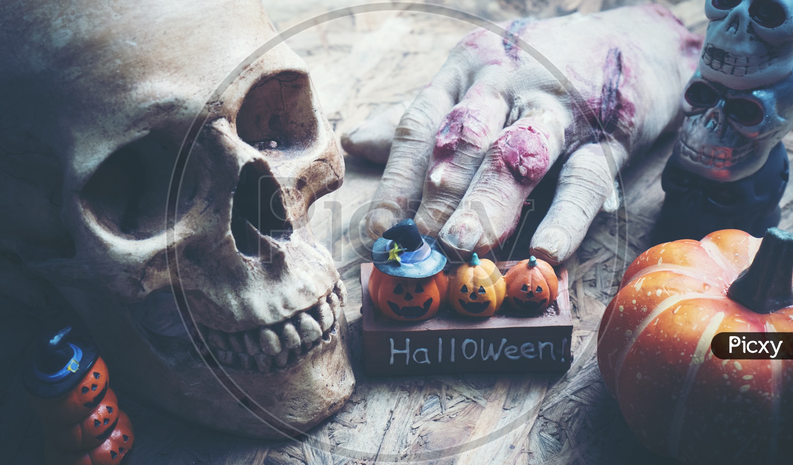 Artistic Background For Halloween  With Skull And  Pumpkin  With Vintage  Filter
