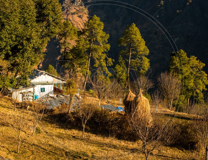Typical wooden alpine house in Valleys of himachal in himalayas