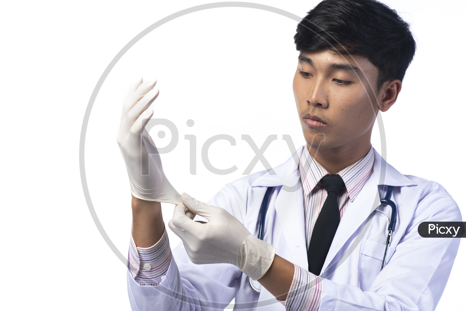 Asian Dentist Doctor Wearing Hand Gloves Isolated on White Background