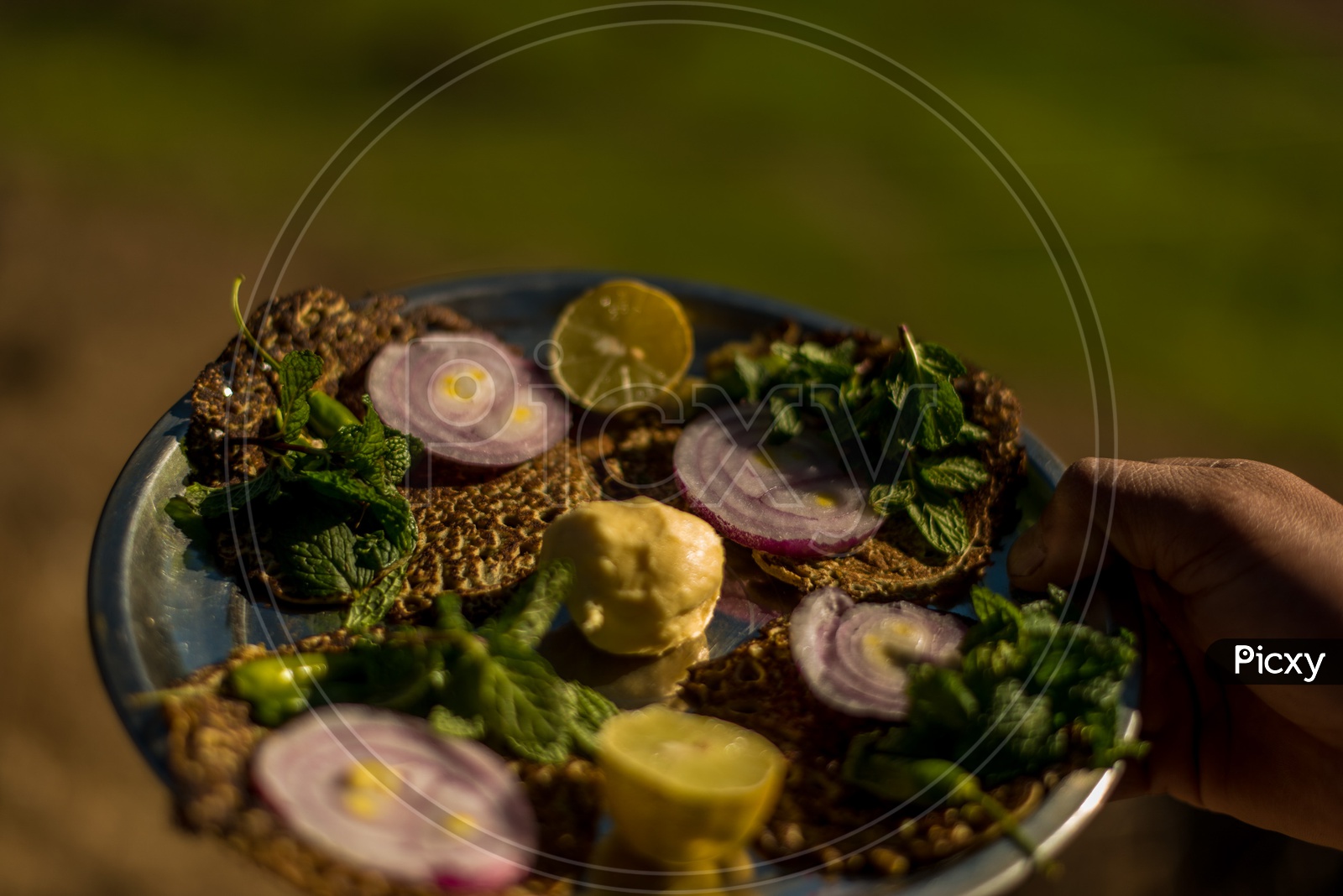 Authentic Himachali food garnished with Onions and Pudina