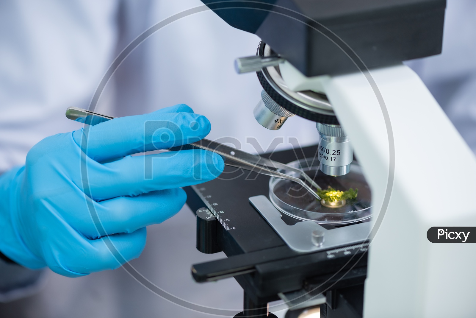 Asian Research Scientists using the Microscope in Modern Laboratory