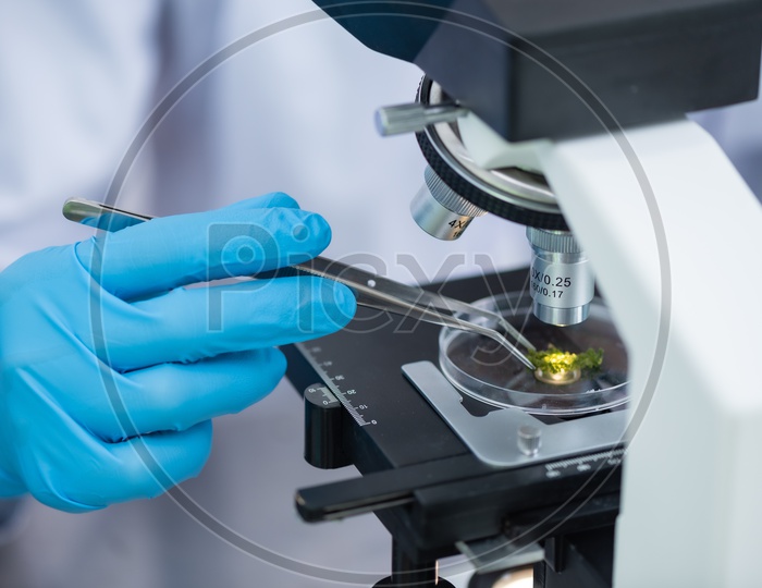 Asian Research Scientists using the Microscope in Modern Laboratory