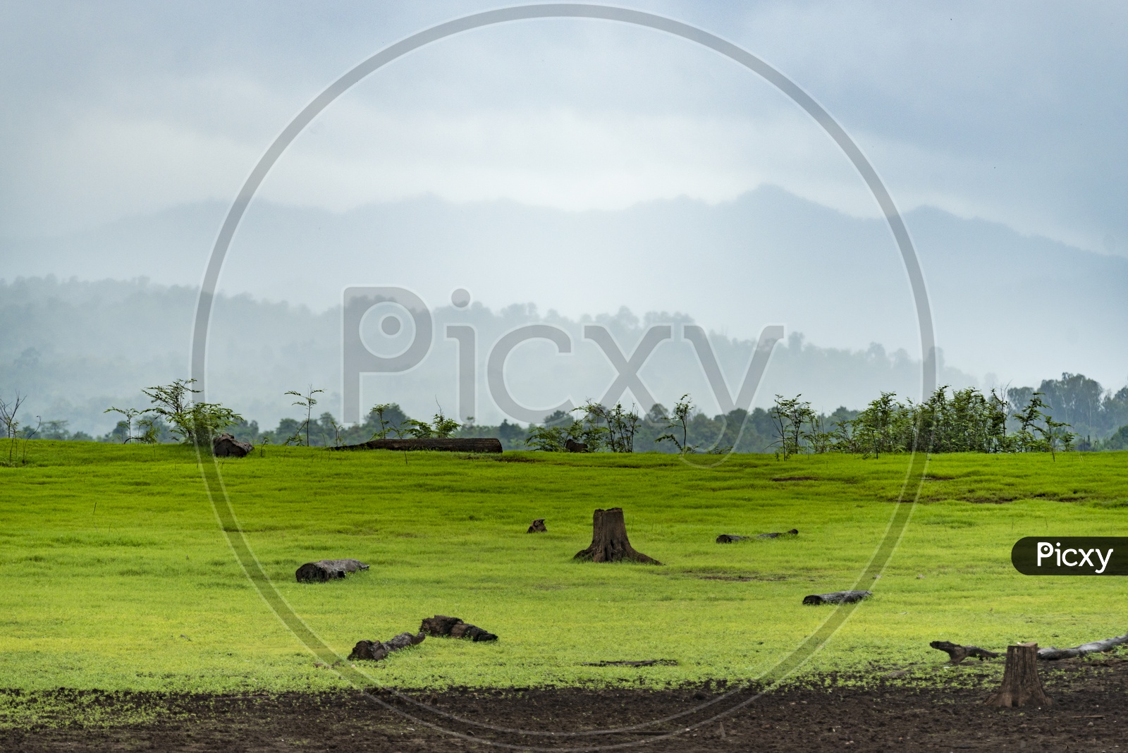 Nature landscape view With Green Pastures and Sky