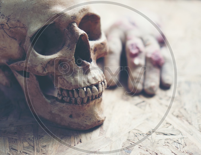 Halloween Day Artistic  Background With Human Skull and Properties