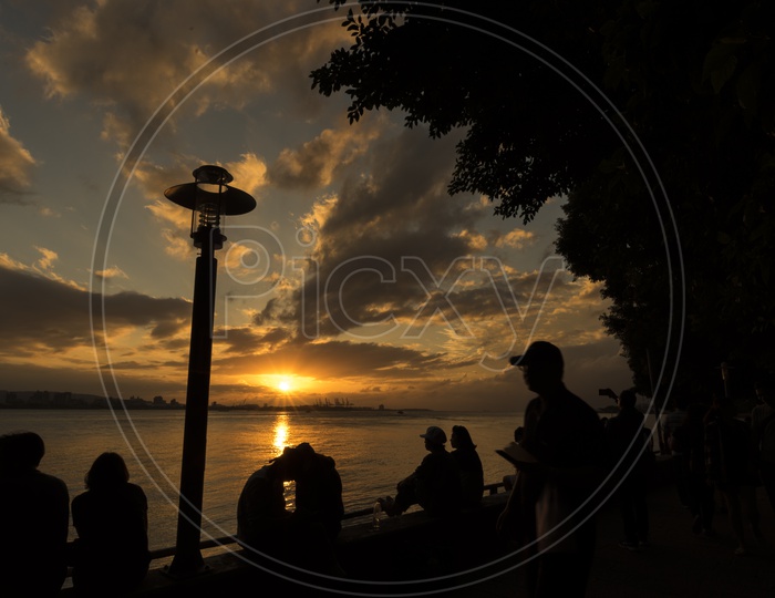 People silhouette at park during sunset, nature outdoor background