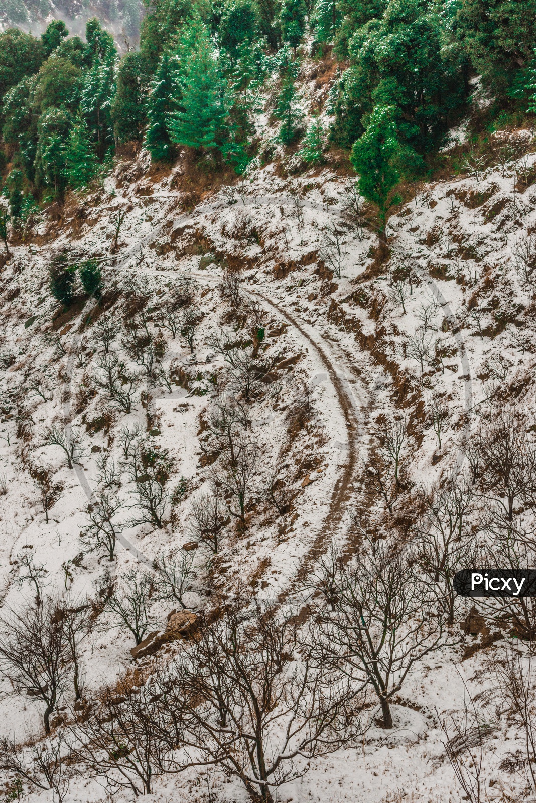 Pathways or Roads Covered With Snow in Villages on Himalayan Mountains