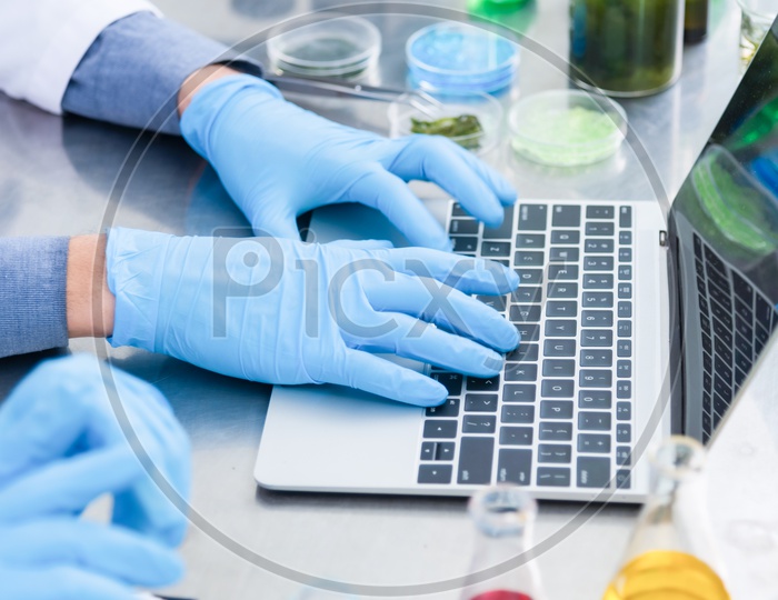 Asian Scientist Entering the Research Results in Laptop at Laboratory