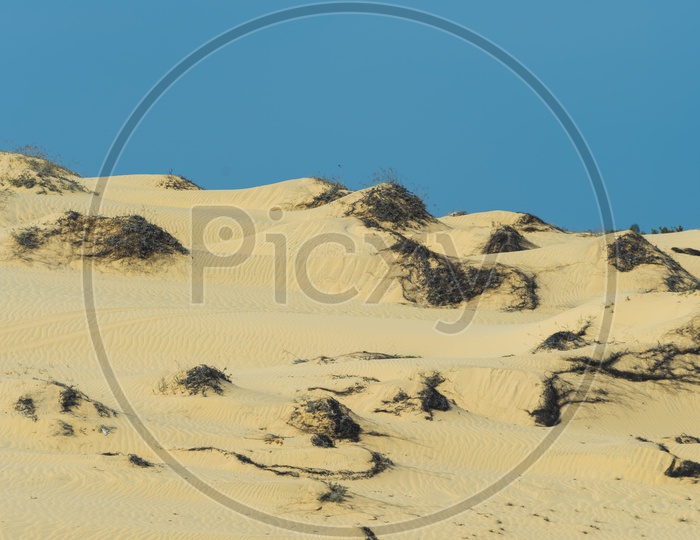 Desert sand dunes in muine- phan thiet province  in Vietnam