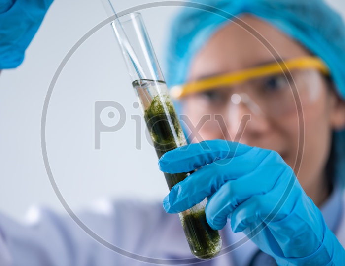 Biofuel research during process in laboratory