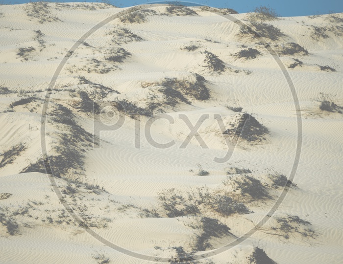 sand dunes At Desert  in mui ne- phan thiet province  Vietnam