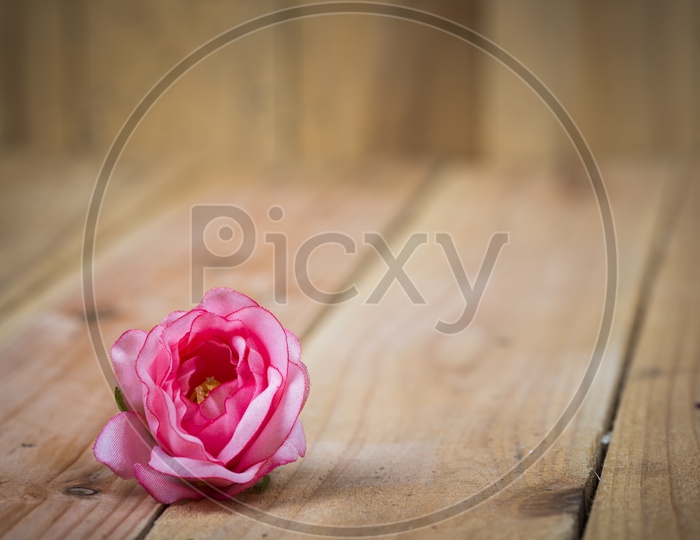 Template For Valentine's Day With Rose Flower on Wooden Background