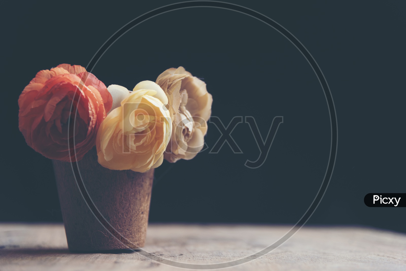 Close up of rose flowers in a wooden cup with black background