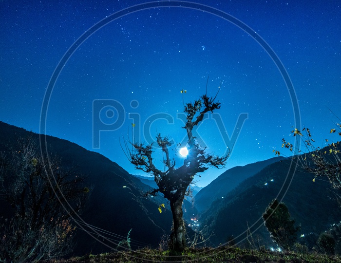 Moon Raising Over a Tree With Star Gazing  in Sky With a View Of Valley