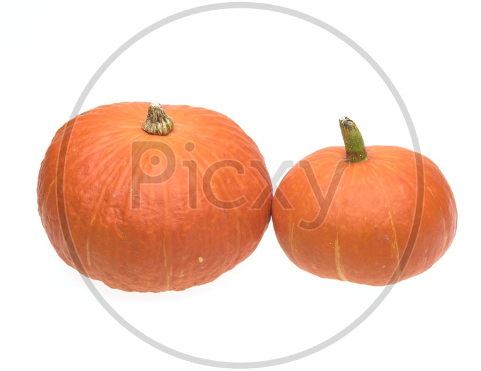 Giants pumpkin isolated on white background