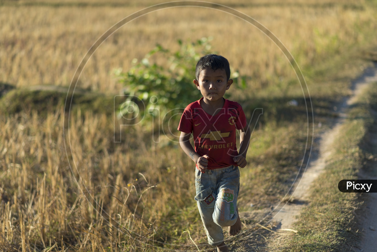 Young Boy Running At Agricultural Fields