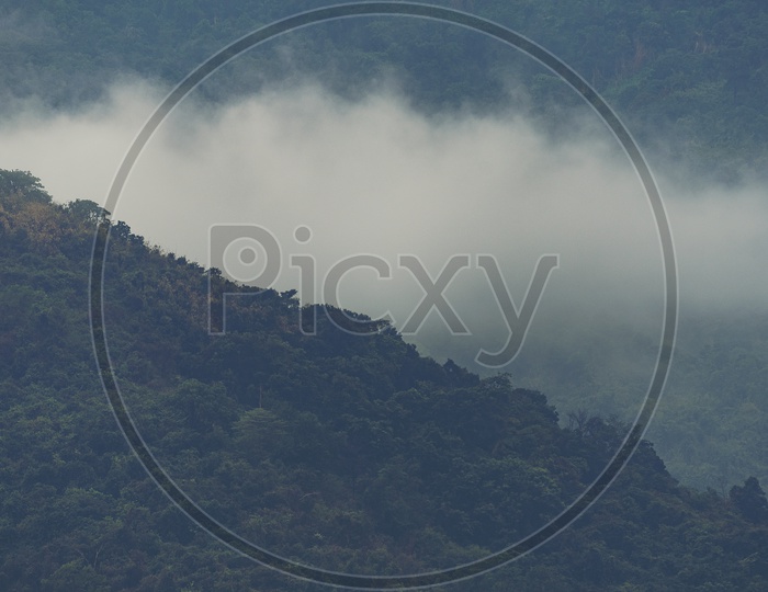 Nature view of tropical forest, Khao Yai National Park, Thailand, vintage filter image