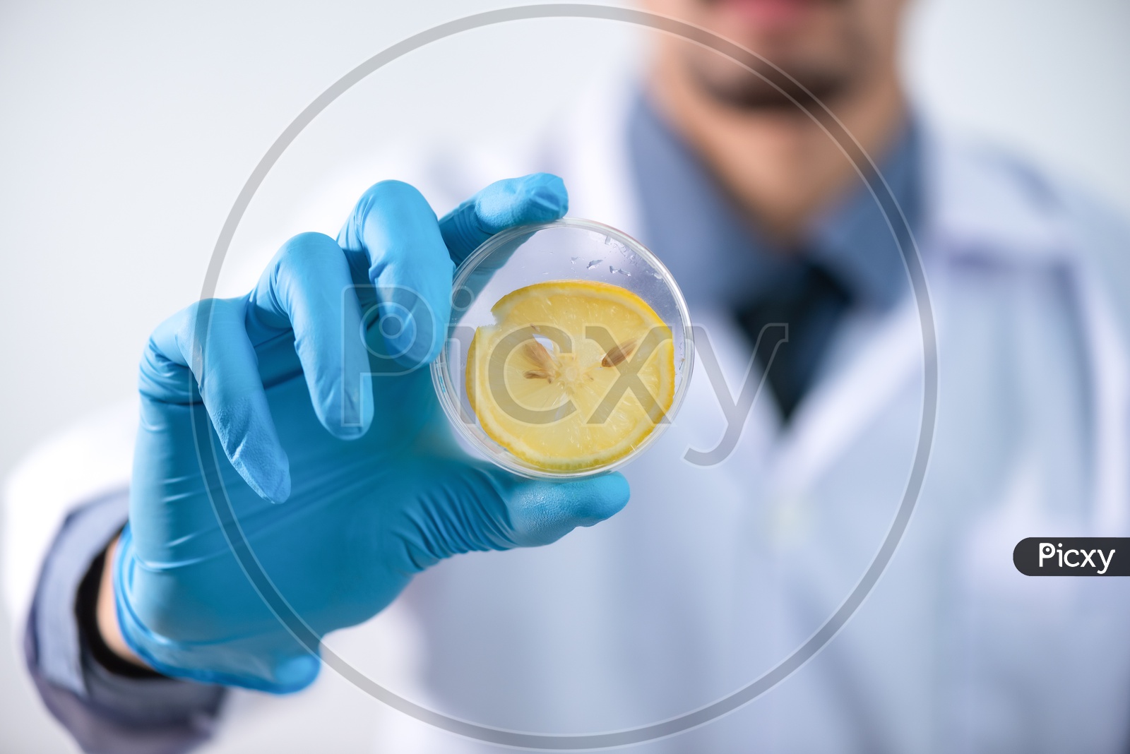 Young Asian Scientist Holding Lemon Slice in Hand at Laboratory