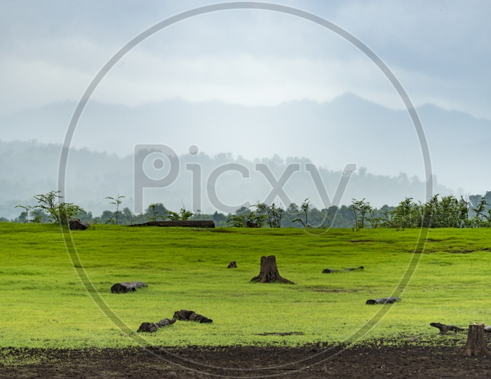 Nature landscape view With Green Pastures and Sky